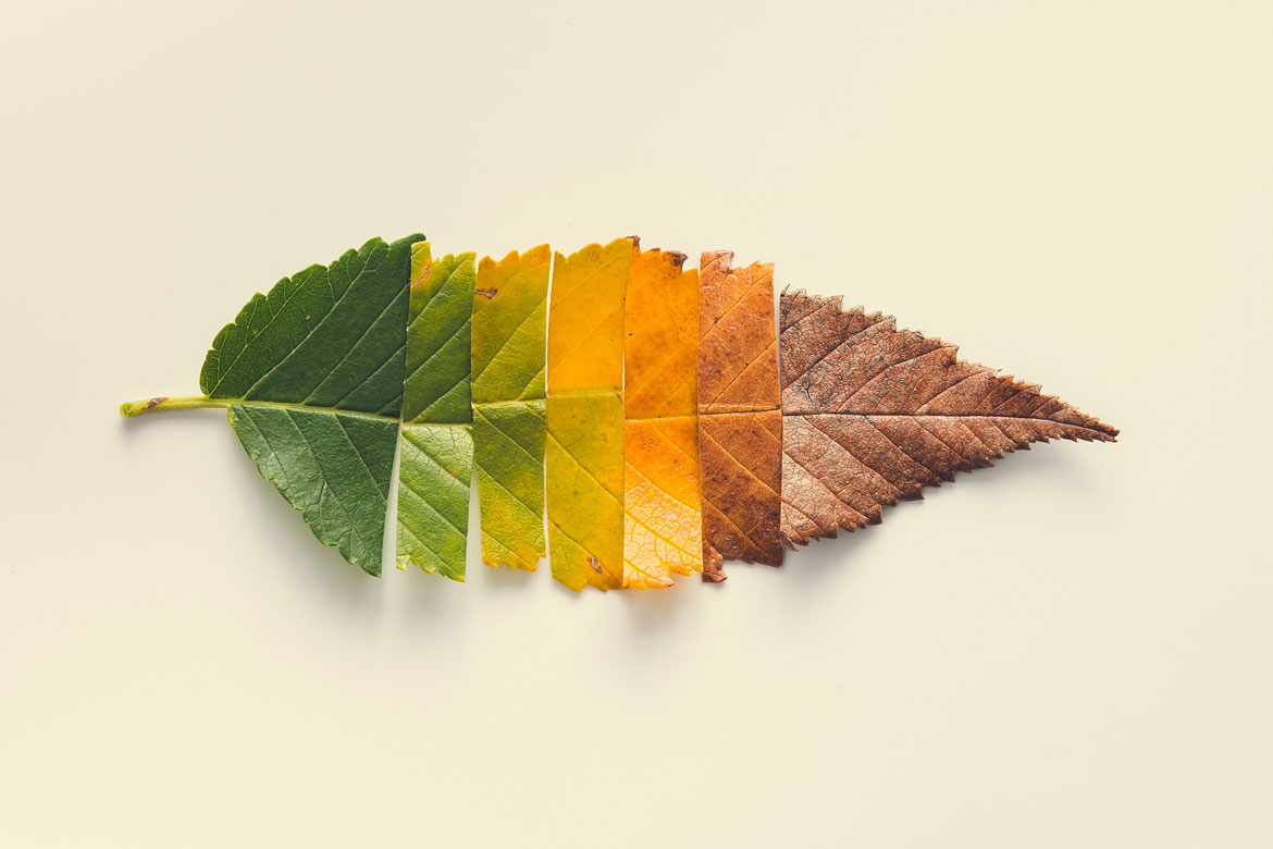 Residential Projects